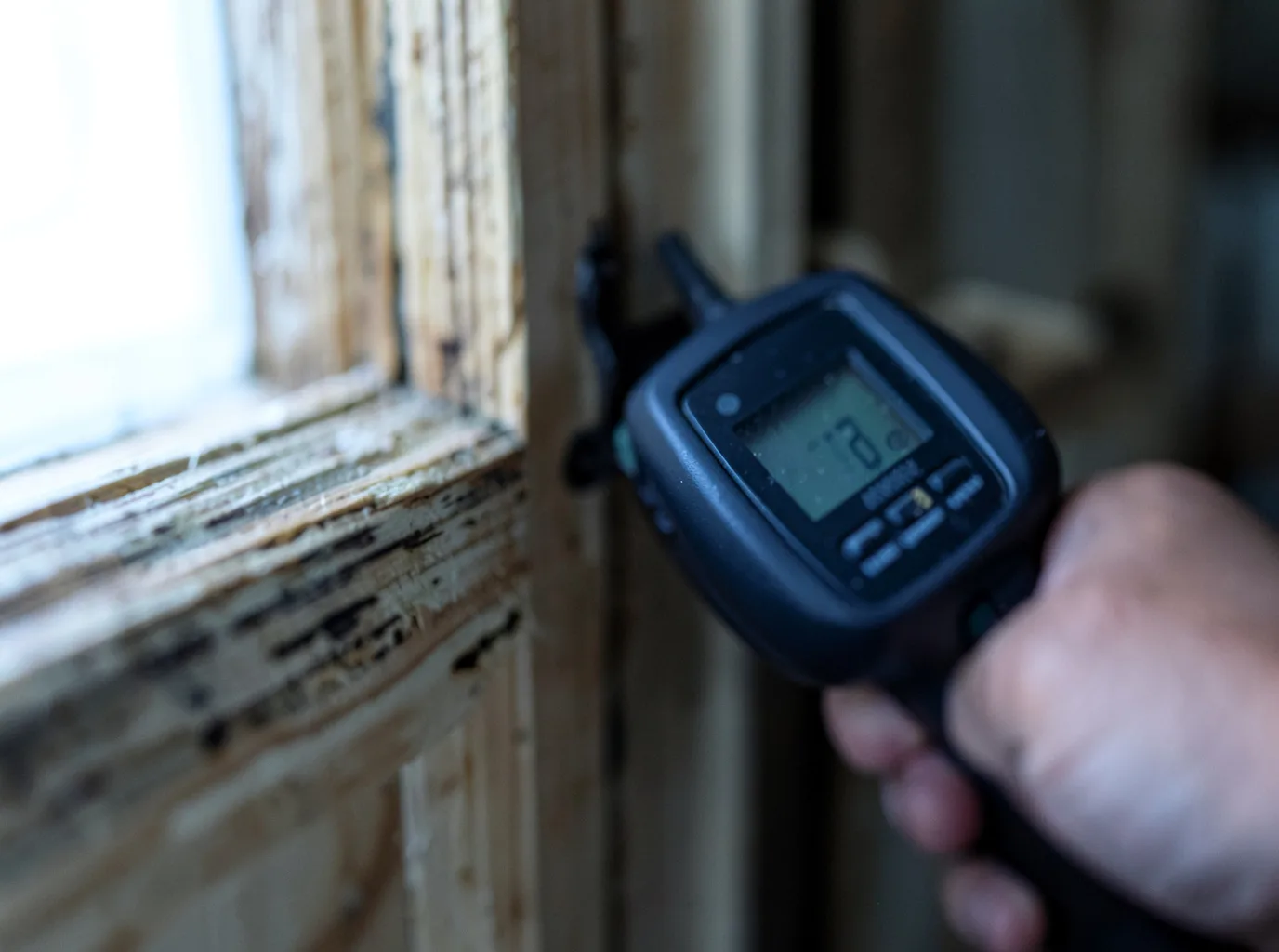 Moisture Inspection And Documentation in Raywood, TX